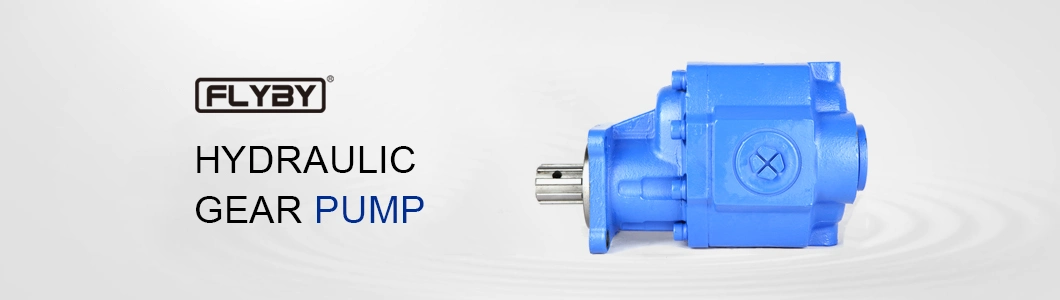 Factory Sale Various Widely Used Oil High Pressure Hydraulic Gear Pump