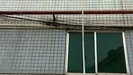 12V 24V Volt Mini Size DC Gear Diesel Oil Transfer Pump