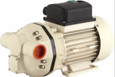 AC 220V Automatic Start Energy Saving Electric Diaphragm Pump