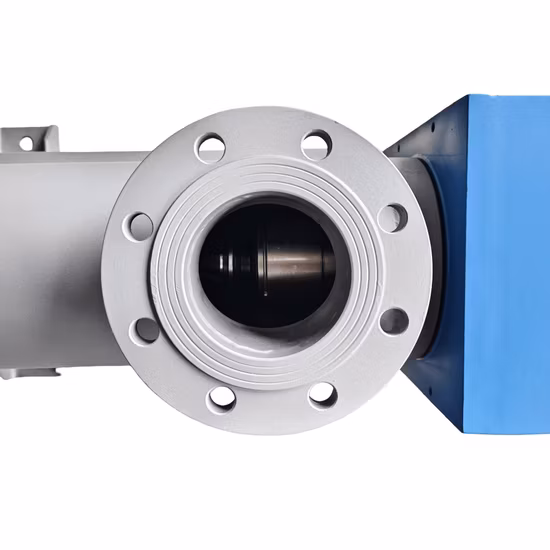 Single Screw Pump for Transporting Fluid with Solids