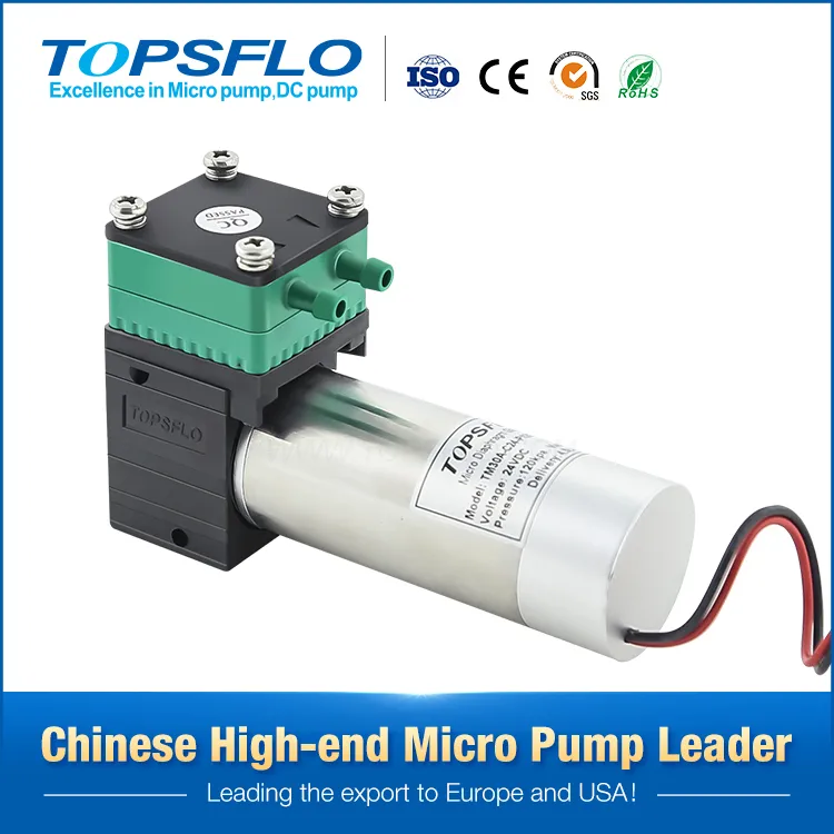 High Quality Customized Micro Electric DC Brushless 6V 12V 24V Diaphragm Air Pump