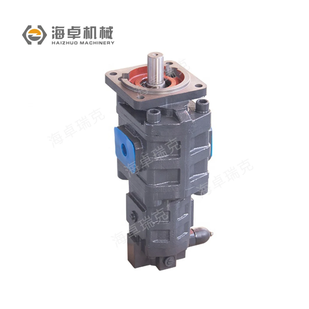 Cbgj2/1 Power Motor Spare Parts Fixed Displacement Oil Transfer Duplex Gear Pump