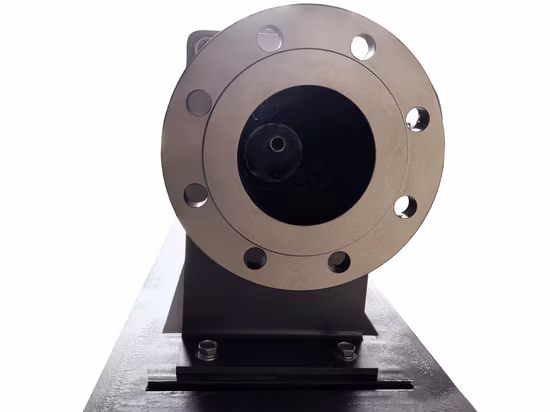 Chemical Stainless Steel Single Screw Pump