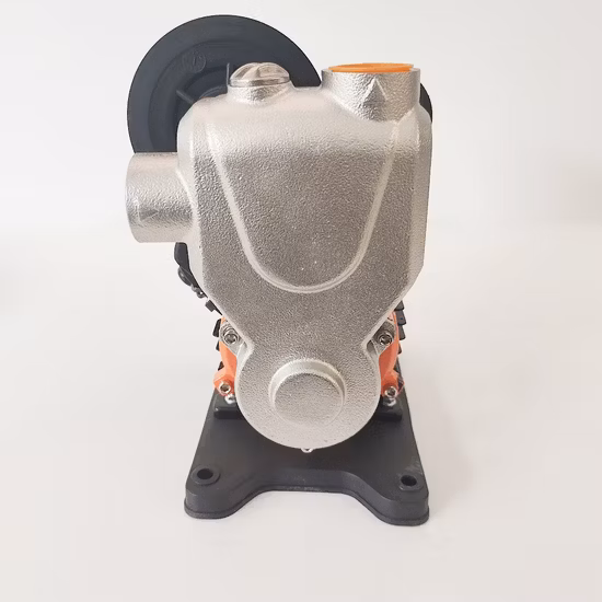 Waterpro Smart Electric Surface Self Priming Centrifugal Water Booster Pump for Irrigation Garden