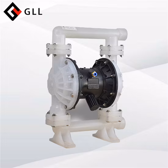 Waste Water Treatment Double Diaphragm Stainless Steel Pump