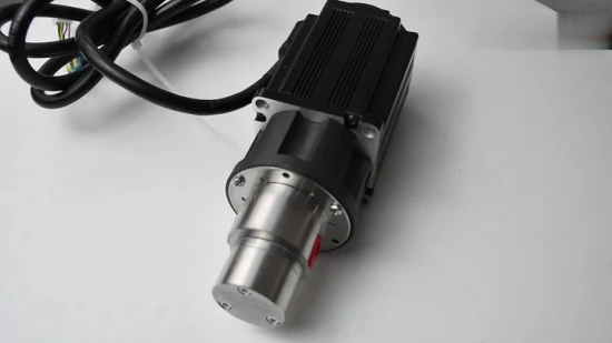 24V DC External Magnetic Fuel Oil Transfer Gear Pump