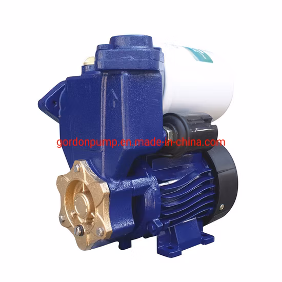 0.5HP Electric Auto Pressure Self-Priming Centrifugal Jet Centrifugal Peripheral Water Pump