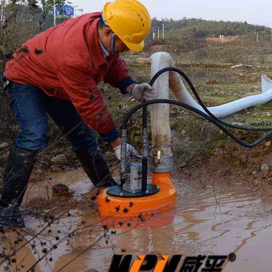 4 Inch High Head Portable Hydraulic Slurry Pump Submersible Pump on Sale