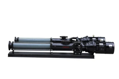 Single Screw Pump for Transporting Fluid with Solids