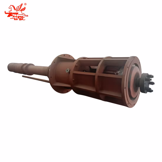 API610 Vertical Water Multistage Semi-Submerged Slurry Centrifugal Pump with High Quality Fgy
